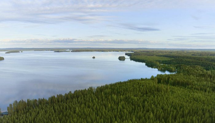 Metsä Board's environmental commitment recognised with a triple CDP ‘A' score