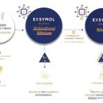 Le silicium biofunXionnel représente le cœur de la technologie Exsymol et la pierre angulaire de son innovation cosmétique.