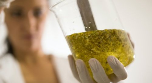 Berkem extends distribution agreement with Unipex to Benelux and Switzerland