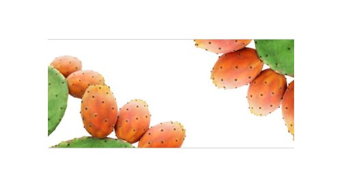 Alban Muller launches a new active to protect the skin from environmental stress