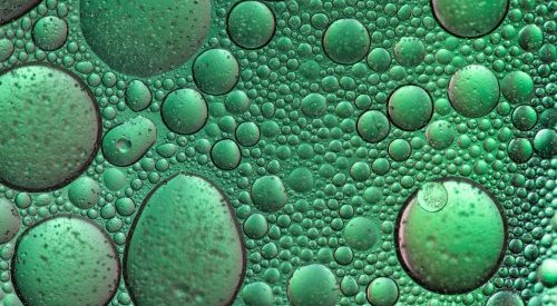 Berkem acquires Biopress and secures its vegetable oil sourcing