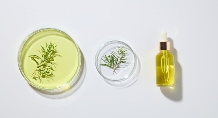 UE : Avis final sur la sécurité de l'huile d'arbre à thé dans les cosmétiques