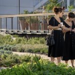 Un jardin de plantes à parfum sur le toit de Paris Expo Porte de Versailles (Photo : Kim Redler / Viparis ©)