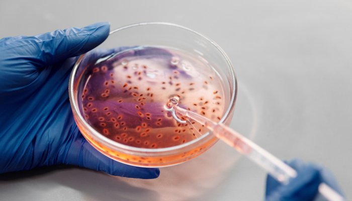 Croda bets on biotechnology to combine innovation and sustainability
