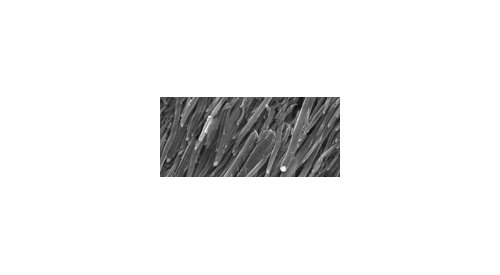 BEUC proposes new definition for nanomaterials in cosmetics