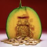 BornToStandOut dévoile Melón Malo, un melon gourmand aux accents nocturnes (Photo : BornToStandOut)