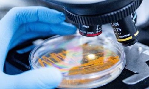 Apoena Biocare dévoile à in-cosmetics une banque microbienne exclusive