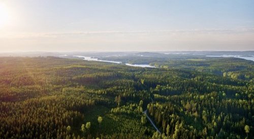 Metsä Board renews its status on CDP's Triple A List