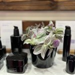 Miron Violet Glass