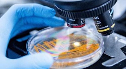 Apoena Biocare showcases exclusive microbial bank at in-cosmetics 2026