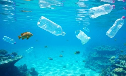 Pollution plastique : pourparlers au Japon pour relancer un projet de traité