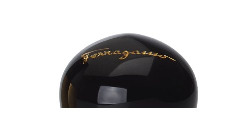 Amo Ferragamo limited edition: faithful to DuPont Surlyn