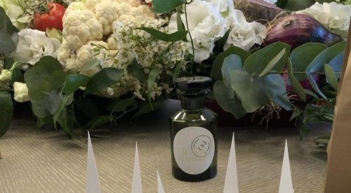 Symrise plants garden in perfumer's palette