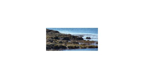 CalseaCare, marine vegetal calcium by Setalg