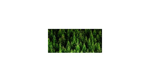 The environmental asset