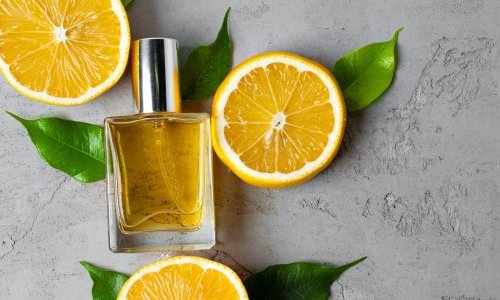 Le site de classification des ingrédients de parfumerie Scentree se transforme