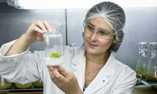 Seppic showcases new efficacy insights for its marine active ingredients