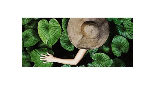 Seppic brings together its range of active ingredients under one single brand: Wesource