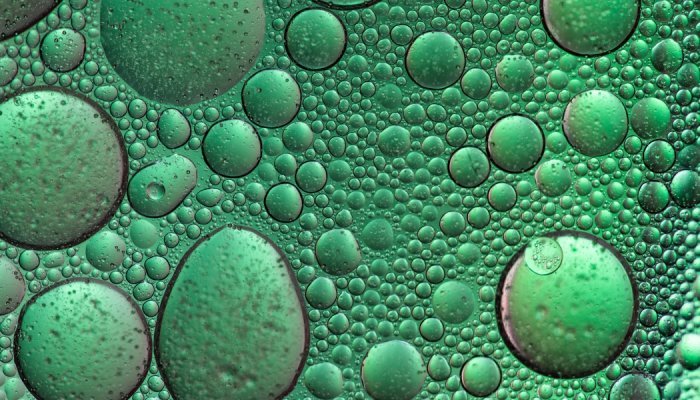 Berkem acquiert Biopress et sécurise son sourcing en huiles végétales