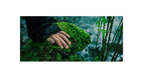 Givaudan announces ambitious science-based targets for greenhouse gas reduction