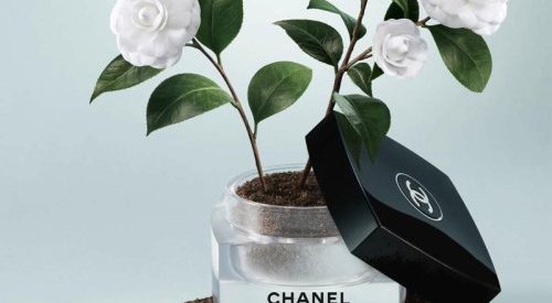 Chanel reprogramme en septembre l'exposition « La beauté se cultive »