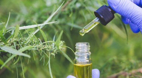 Cosm'Agri 2026 : L'industrie cosmétique au chevet de l'eau et des sols ?