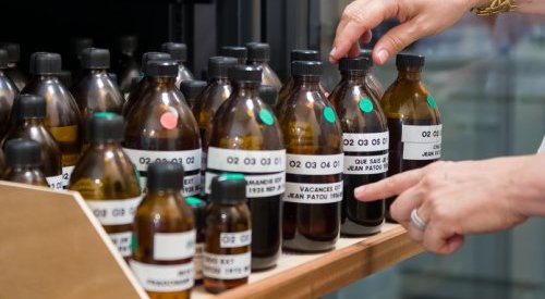 L'Osmothèque déploie son périmètre d'actions au cœur de Versailles