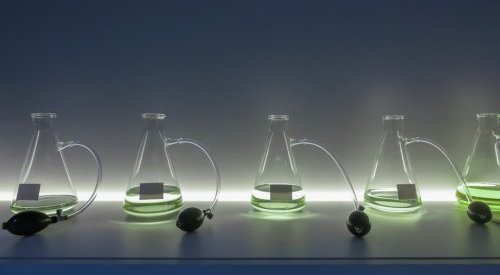 Les élèves de l'ESEPAC et de l'ESP réinventent l'expérience du parfum de luxe