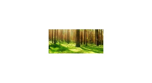 Cosmetics companies invest in sustainability, says Organic Monitor