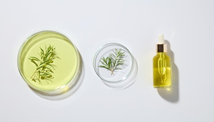 EU scientific committee issues final opinion on tea tree oil in cosmetics