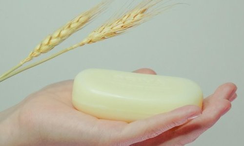 Cosm'Agri Business Day : Vers des circuits courts pour le sourcing cosmétique