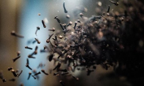 En Indonésie, le changement climatique menace les récoltes de clou de girofle