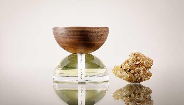 Estée Lauder makes minority investment in Mexican luxury fragrance brand Xinú