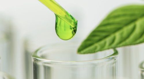 AFYREN renforce ses équipes pour accompagner sa croissance internationale