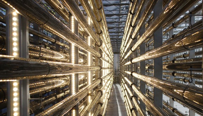 Microalgues : L'Oréal entre au capital de Microphyt qui lève 15 millions d'euros