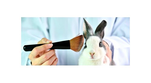 Illinois becomes third U.S. state to ban sale of animal-tested cosmetics