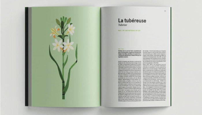 Un tour du monde des matières à parfum, par le collectif Nez