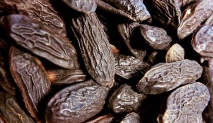 LMR adds Tonka Bean CO2 Absolute to its line of conscious perfume ingredients