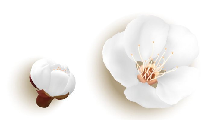 Clean Beauty in London is postponed to April 13-14, 2022