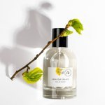 TiL and Francis Kurkdjian create fragrance with objectified soothing effects