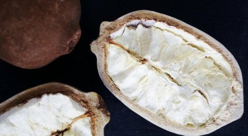 Driven by new consumer preferences, demand for cupuaçu butter is on the rise