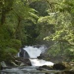 IFF to open a bioprospecting lab in Legado das Águas, an Atlantic Forest Reserve in Brazil (Photo: Reservas Votorantim)