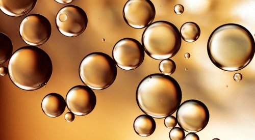 Biotechnologies: Aplantex and Symrise seek to produce hard-to-source molecules