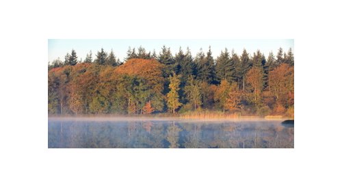 in-cosmetics Global to put the spotlight on sustainability
