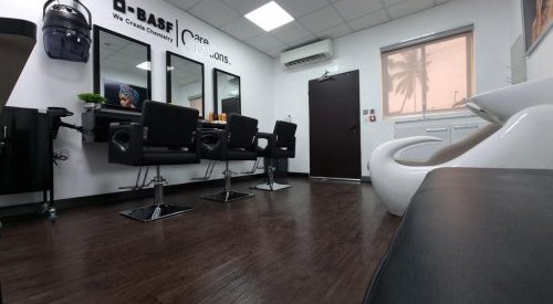 BASF inaugurates “Care Evaluation Salon” for hair and skin care in Nigeria