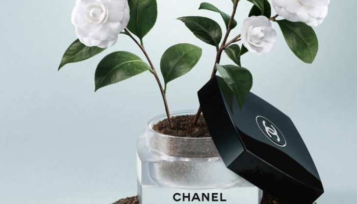 Chanel reprogramme en septembre l'exposition « La beauté se cultive »