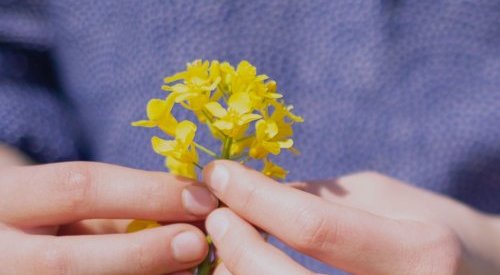 ANJAC : Un outil d'évaluation de l'éco-responsabilité des innovations