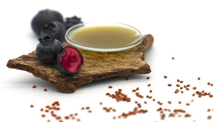 Givaudan Active Beauty upcycles wild bilberries to help repair the skin