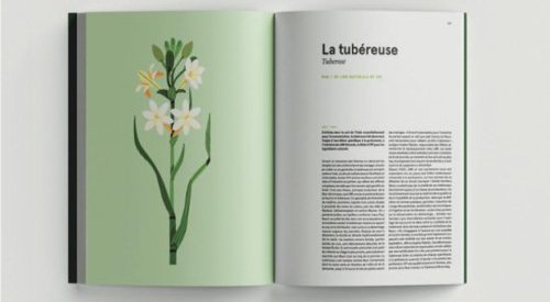 Un tour du monde des matières à parfum, par le collectif Nez