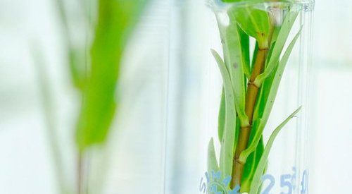 Berkem augmente son capital de 43,9 millions après une entrée en bourse réussie